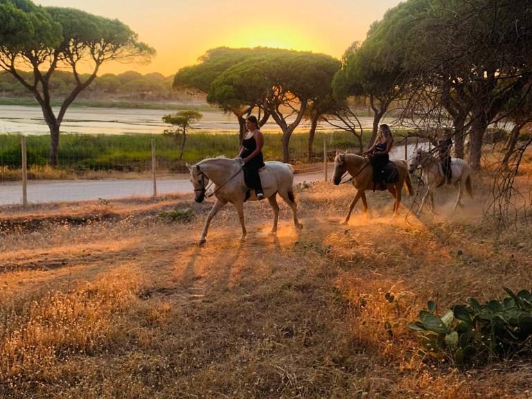 Horse Riding in Afternoon Sea View - In the afternoon, horseback ride through the pine trees and enjoy the sea view. The...